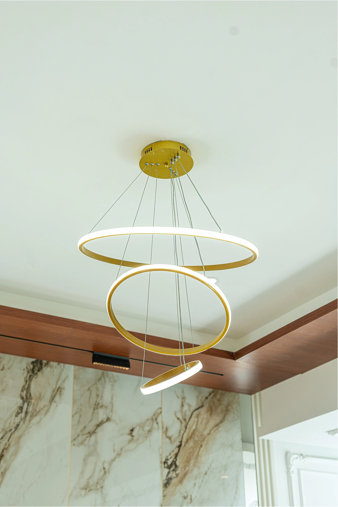Dining room fitout with stylish furniture